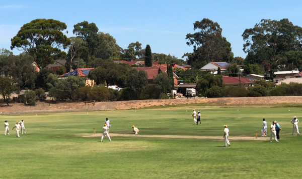 Ingle Farm Cricket Match