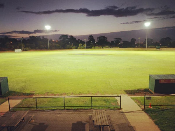Ingle Farm Cricket at Night
