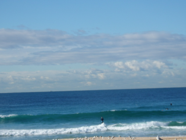Shark Beach Queensland