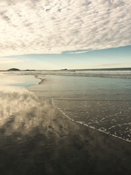 Shark Beach Queensland